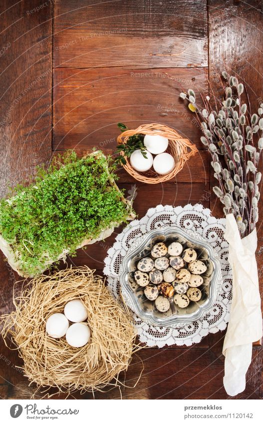 Osterzusammensetzung aus Eiern, Kresse und Kätzchen auf Holztisch Dekoration & Verzierung Tisch Ostern Schere Frühling Papier Metall natürlich braun grün