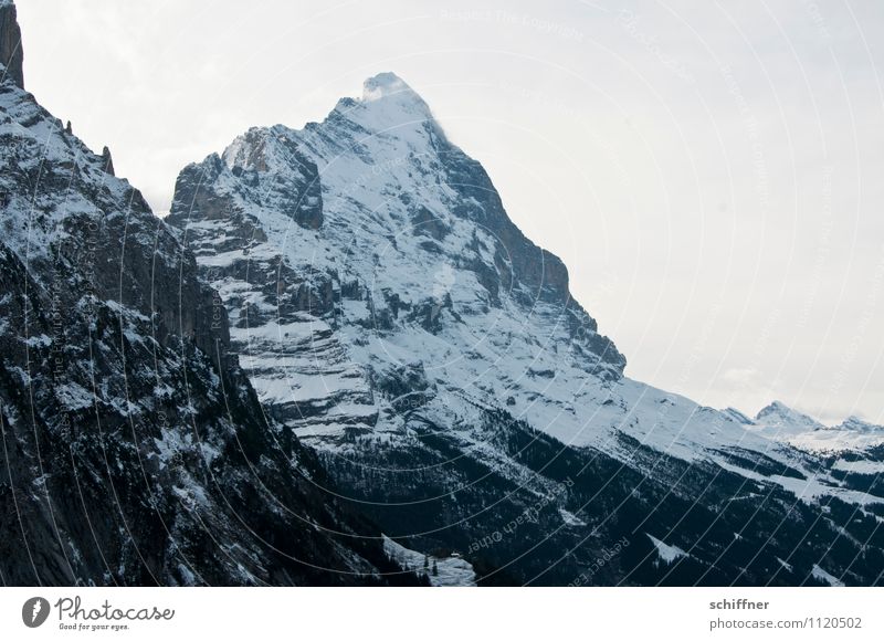 Neuer Tag, neuer Eiger Umwelt Natur Landschaft Felsen Alpen Berge u. Gebirge Gipfel Schneebedeckte Gipfel Gletscher kalt Steilwand Berner Oberland Spitze