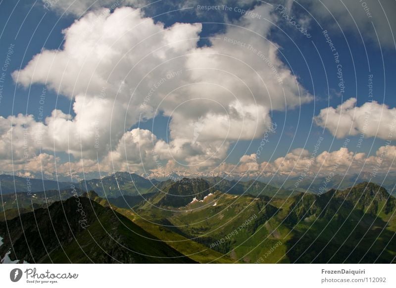 Wolken über Kitzbüheler Alpen Haushuhn Bundesland Tirol Österreich Natur grün Panorama (Aussicht) Wiese Alm Bergwiese Gras Pflanze Horizont weiß grau intensiv