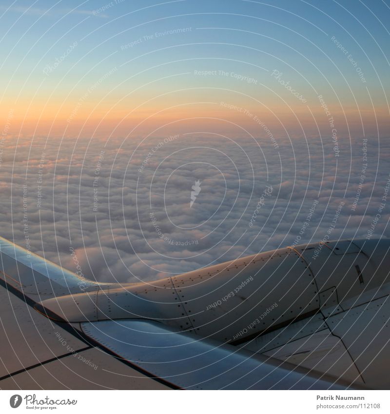 ab in den Süden I Flugzeug über den Wolken Sonnenaufgang kalt technisch Himmel Abdeckung Sonnenuntergang harmonisch fliegen Wolkenmeer hoch oben blau