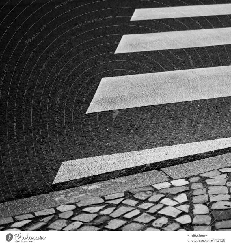 zebra crossing II Zebrastreifen Straßenübergang gefährlich Kopfsteinpflaster Bordsteinkante schwarz weiß Quadrat diagonal Streifen Asphalt hart gehen Überqueren