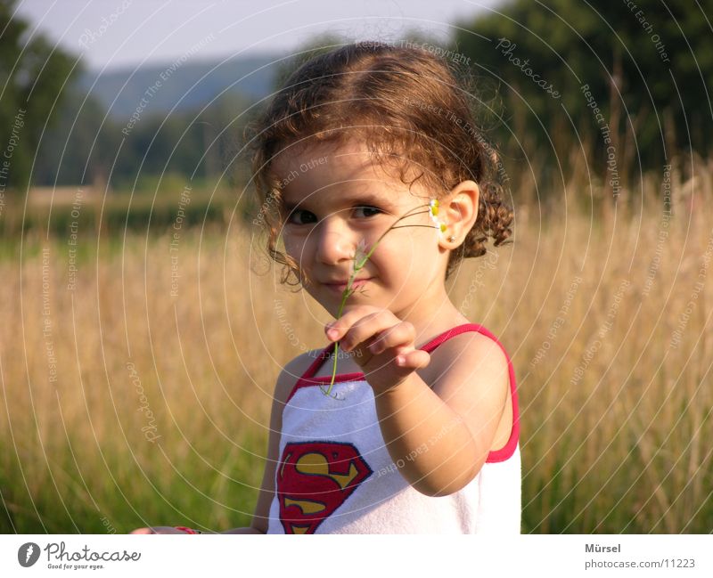Melissa2 Kind Mädchen Superman Sommer