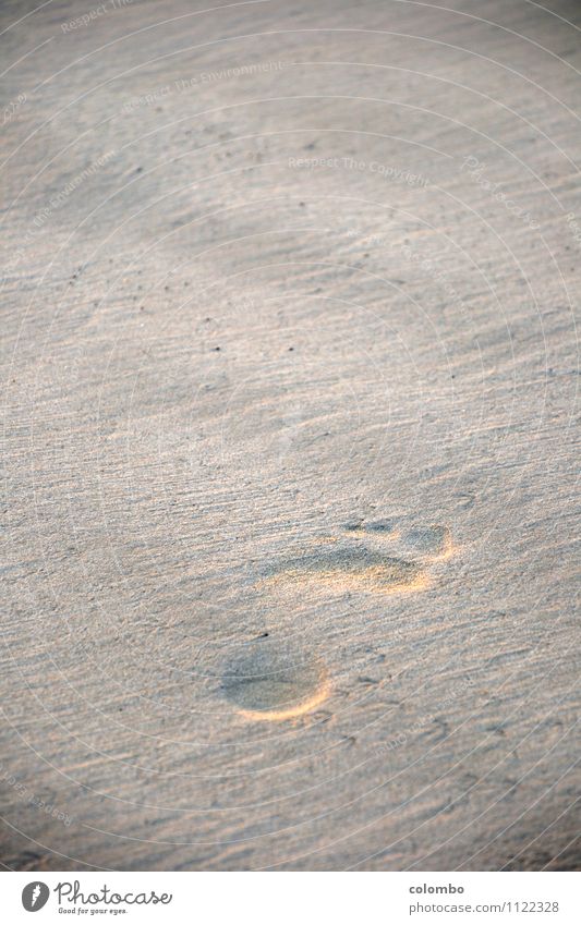 Spur im Sand Fuß 1 Mensch Sonnenaufgang Sonnenuntergang Küste Strand Wasser Zeichen Fußspur entdecken Erholung gehen laufen Ferne frei nackt Gefühle