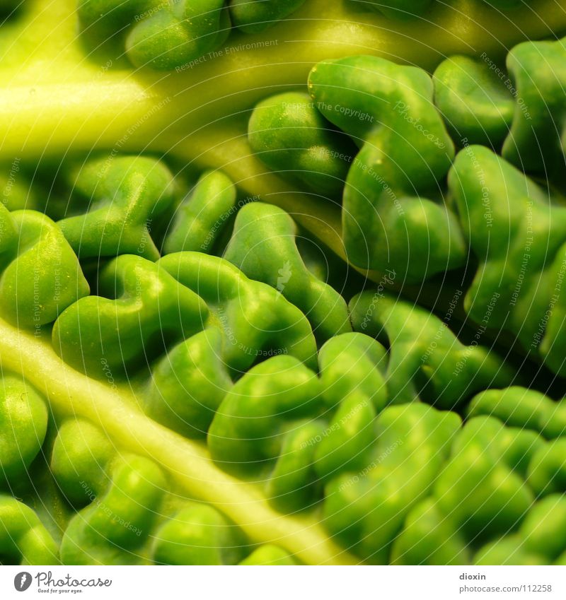 Brassica Oleracea Farbfoto Nahaufnahme Detailaufnahme Makroaufnahme Muster Strukturen & Formen Menschenleer Lebensmittel Gemüse Ernährung Bioprodukte
