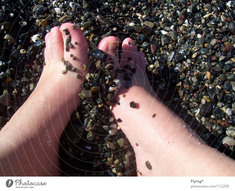 kiesig Zehen Kies nass feucht kalt grau Stein beerdigen Nagel Strand Meer Küste Mineralien Erde Sand Fuß gräulich großer zeh Haut fußhaut Pediküre nasse haut