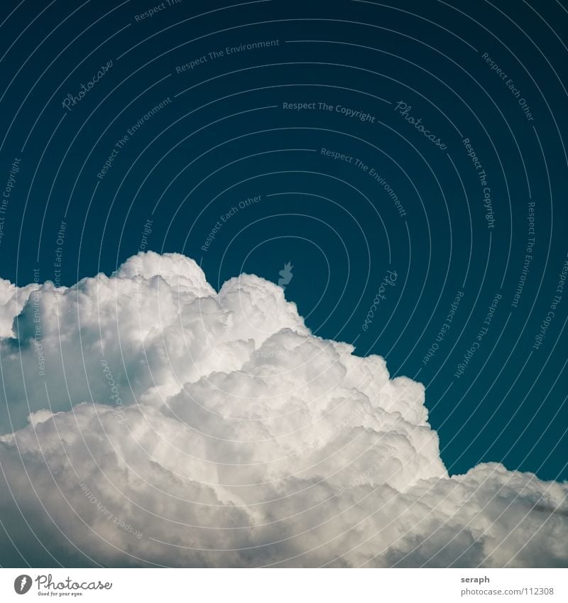 Cumulus Wolken Himmel Freiheit Leichtigkeit leicht blau Hintergrundbild Kumulus Wind Wasserdampf Luft schönwetterwolke Strukturen & Formen fluffig weich