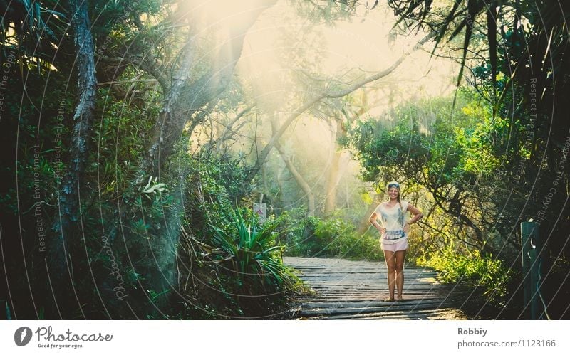 Ein Fräulein steht im Walde... Frau Erwachsene 1 Mensch Natur Landschaft Pflanze Sonnenlicht Sommer Baum Garten Park Urwald Oase Australien + Ozeanien entdecken