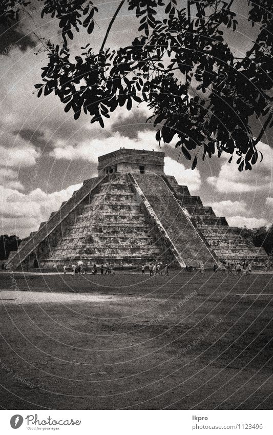 die Treppe von chichen Pflanze Wolken Baum Blatt Burg oder Schloss braun grau weiß Eckstoß itza Schritt Maya Azteken Mexiko Tempel Murmel kukulkanisch