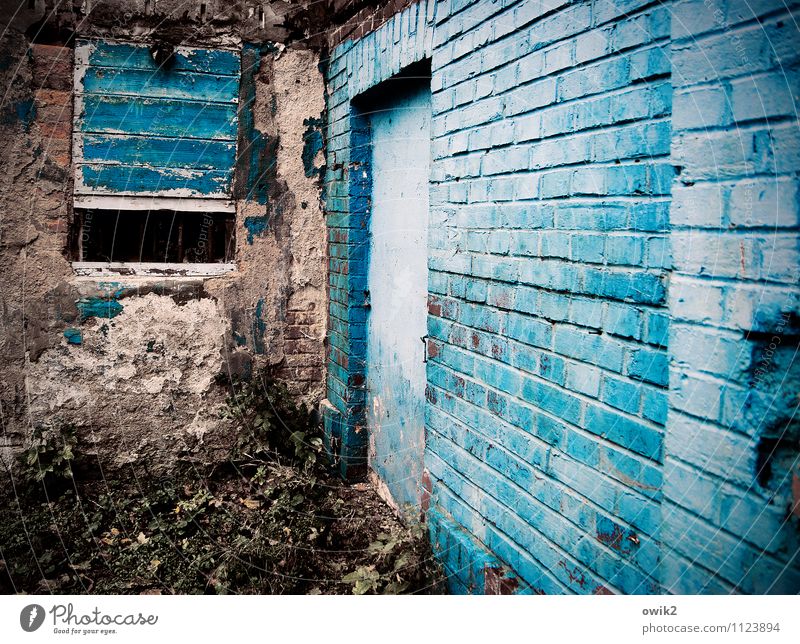 All Blues Mauer Wand Fassade Fenster Tür alt dreckig trashig trist blau türkis Verfall Vergänglichkeit schäbig Backsteinwand streichen Farbe Ecke verfallen