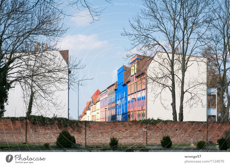 Magdeburg ist bunt Haus Deutschland Sachsen-Anhalt Europa Stadt Menschenleer Gebäude Reihenhaus Mehrfamilienhaus Altbau Altbauwohnung Mauer Wand blau braun