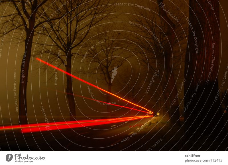 Roter Pfeil oder Radarfallenfake Baum Allee Nacht dunkel rot Nebel Rücklicht Bremslicht Lastwagen KFZ Wohnmobil Radarkontrolle Straßenverkehr Verkehr