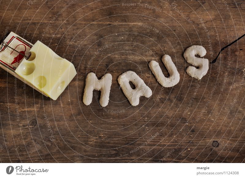 Die Buchstaben MAUS vor einer Mausefalle mit Käse Tier Hinterhalt Fallensteller 1 festhalten Fressen braun gelb Angst gefährlich Stress Misstrauen gefräßig