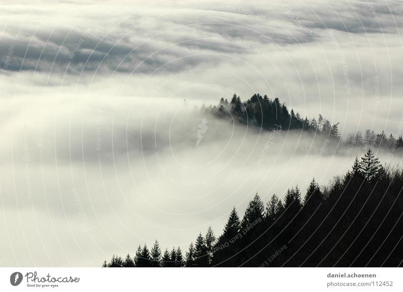 Invasionswetterlage 2 Nebel Wolken schwarz weiß abstrakt Hintergrundbild Baum Herbst Schwarzwald Wald Winter Tanne Himmel Berge u. Gebirge Kontrast Schatten