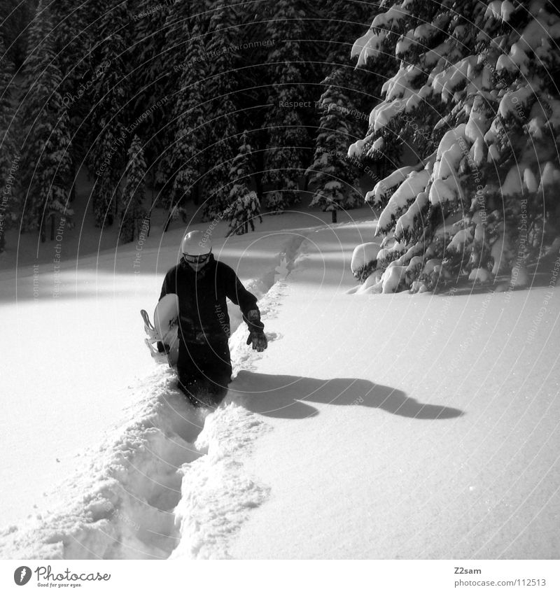 hiking Snowboard wandern Tiefschnee Baum Wald Helm lässig Wintersport Schnee schwarz weiß laufen Schatten Coolness Sport backcountry tragen Schwarzweißfoto