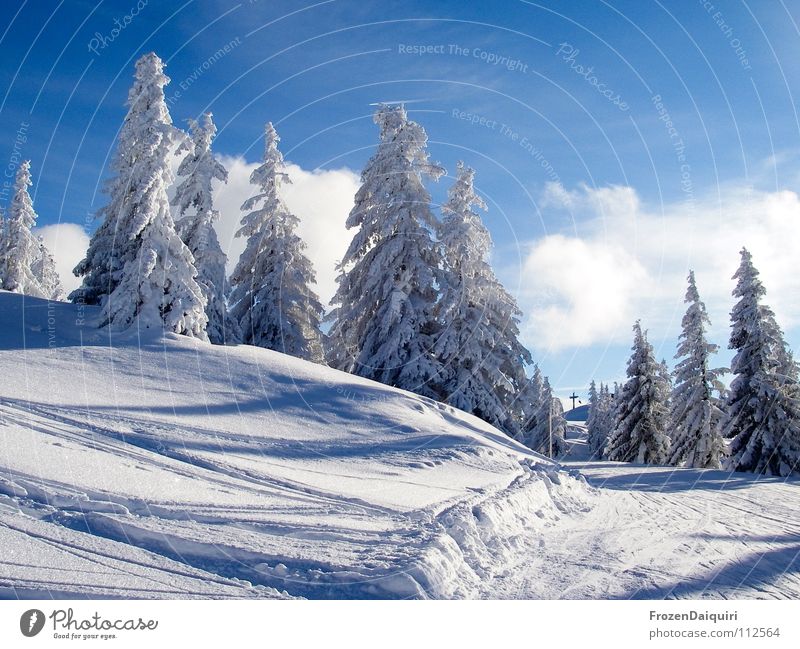 https://www.photocase.de/fotos/112564-the-first-snow-ii-baum-gefuehle-fichte-froehlichkeit-photocase-stock-foto-gross.jpeg