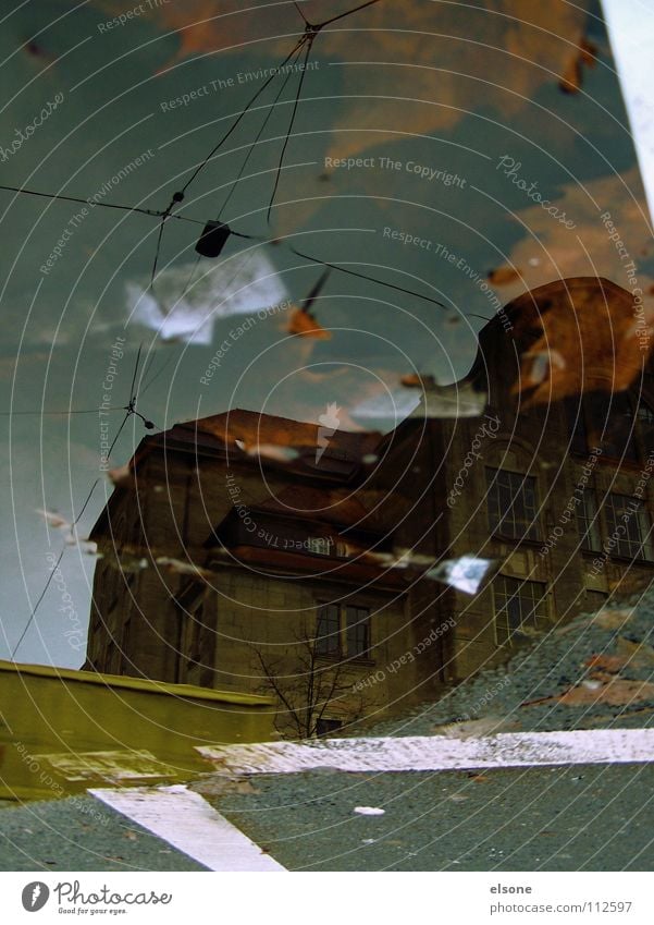 ::4:KALLE:ERINNERUNG:: Herbst mehrfarbig Blatt Sturm nass Pfütze Haus Gebäude laublos gestalten Zickzack Lastwagen Beton Müll Karavane Reflexion & Spiegelung