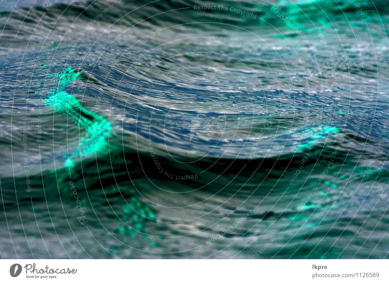 Sansibar Wasserstruktur Umwelt Natur Wind blau grau grün schwarz weiß Konsistenz winken gekrümmt Farbfoto