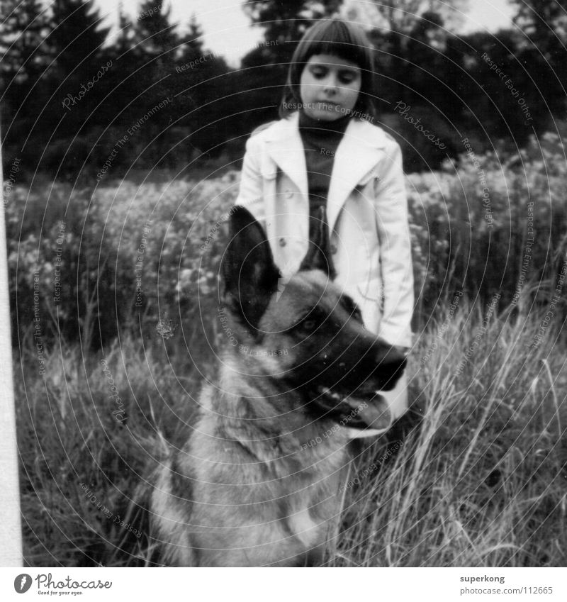 Dog Mädchen Hund Stil retro Schwarzweißfoto Andre Mayr Black White