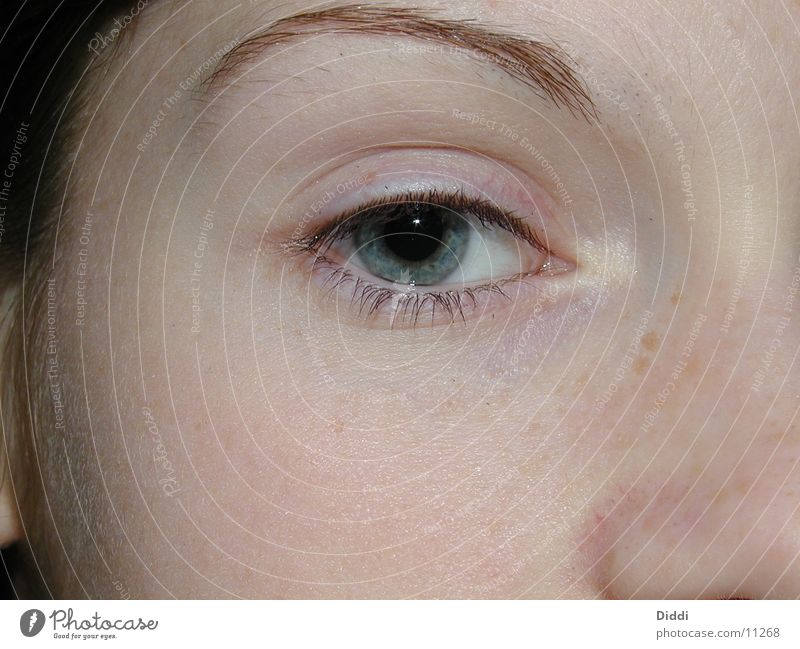 KL Inside Kontaktlinse Mensch Auge Blick