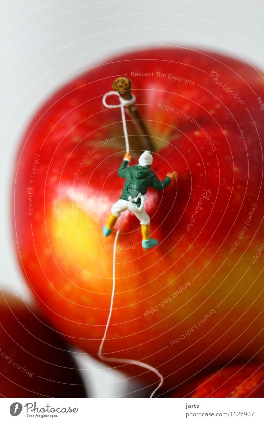 vitaminjunkie Frucht Apfel Klettern Bergsteigen Sportler 1 Mensch Gesundheit Vitamin rot Farbfoto Innenaufnahme Studioaufnahme Nahaufnahme Detailaufnahme