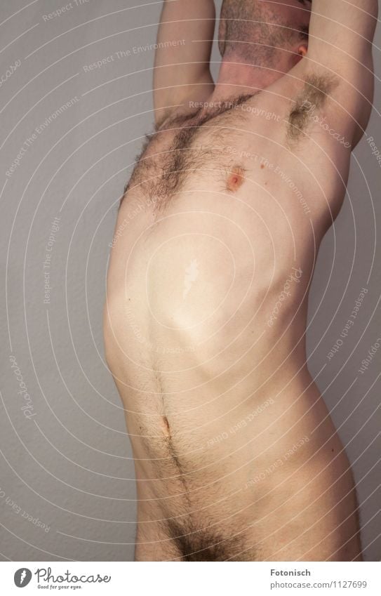 Rumpf Mensch maskulin Junger Mann Jugendliche Brust Bauch Oberkörper Achsel Schambereich 1 18-30 Jahre Erwachsene Bart Brustbehaarung Schamhaare dünn nackt