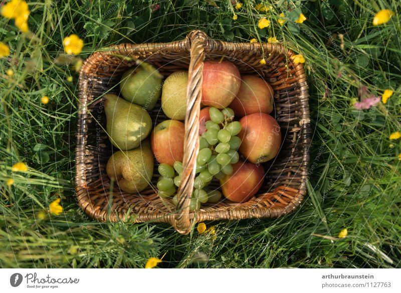Obstkorb in der Wiese Frucht Apfel Weintrauben Birne Ernährung Picknick Bioprodukte Vegetarische Ernährung Slowfood kaufen Gesunde Ernährung Ausflug Sommer