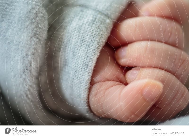 Händchen #2 feminin Baby Hand Finger 1 Mensch 0-12 Monate festhalten liegen Gesundheit schön nah neu Sauberkeit Wärme weich grau rosa Glück Zufriedenheit