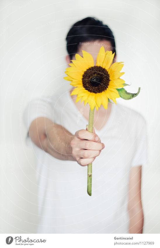 Sorry Mensch maskulin Junger Mann Jugendliche Hand 1 18-30 Jahre Erwachsene schön gelb weiß Sonnenblume Entschuldigung Geschenk schenken geben Blume Muttertag