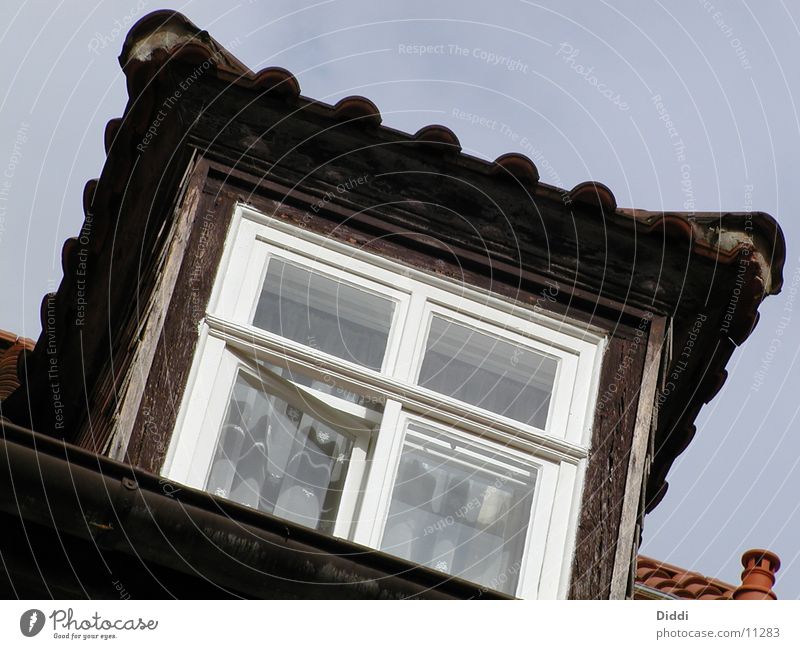 unter der haube Fenster Dach Haus Architektur