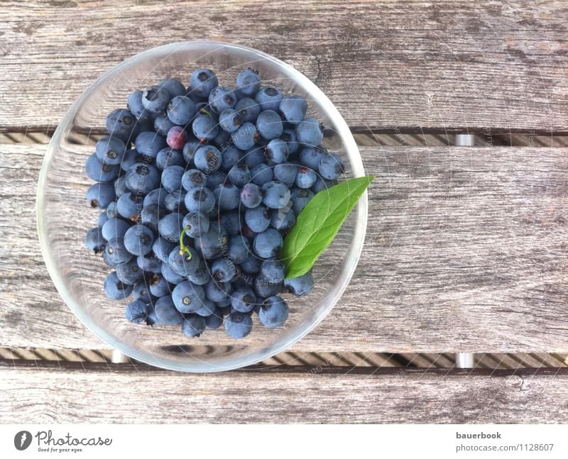 Blaubeerernte Lebensmittel Frucht Kuchen Dessert Blaubeeren Ernährung Bioprodukte Vegetarische Ernährung Saft Schalen & Schüsseln Gesundheit Wellness Wohlgefühl