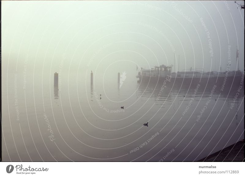 Nebel des Grauens aufsteigen Wasserfahrzeug unsichtbar weiß Wand Hand weich Watte Wasserdampf Wassertropfen Nebellandschaft Fluss Bach Herbst Seil Sonne