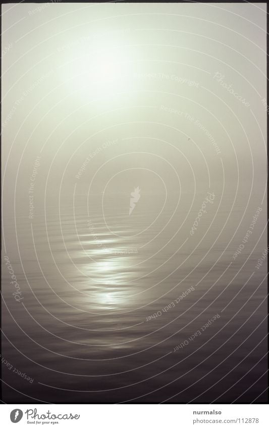 Nebel des Grauens 2 aufsteigen Wasserfahrzeug unsichtbar weiß Wand Hand weich Watte Wasserdampf Wassertropfen Nebellandschaft Angst Panik Herbst Fluss Bach Seil