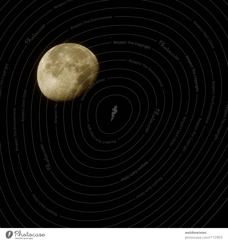Mond (mit Canon) abnehmend Planet Astronomie Astrologie Astrofotografie Vulkankrater träumen Mondsüchtig Werwolf Himmelskörper & Weltall Erdmond Luna lunar