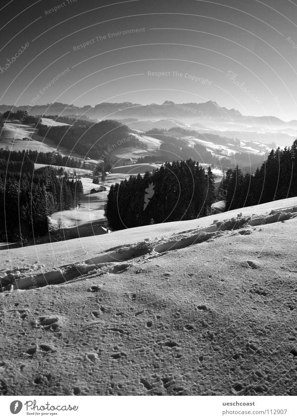 der st.galler WInter Winter Wald Berg Säntis Spuren kalt weiß schwarz Schweiz Schwarzweißfoto Panorama (Aussicht) Berge u. Gebirge egge panoramma Nebel Kontrast