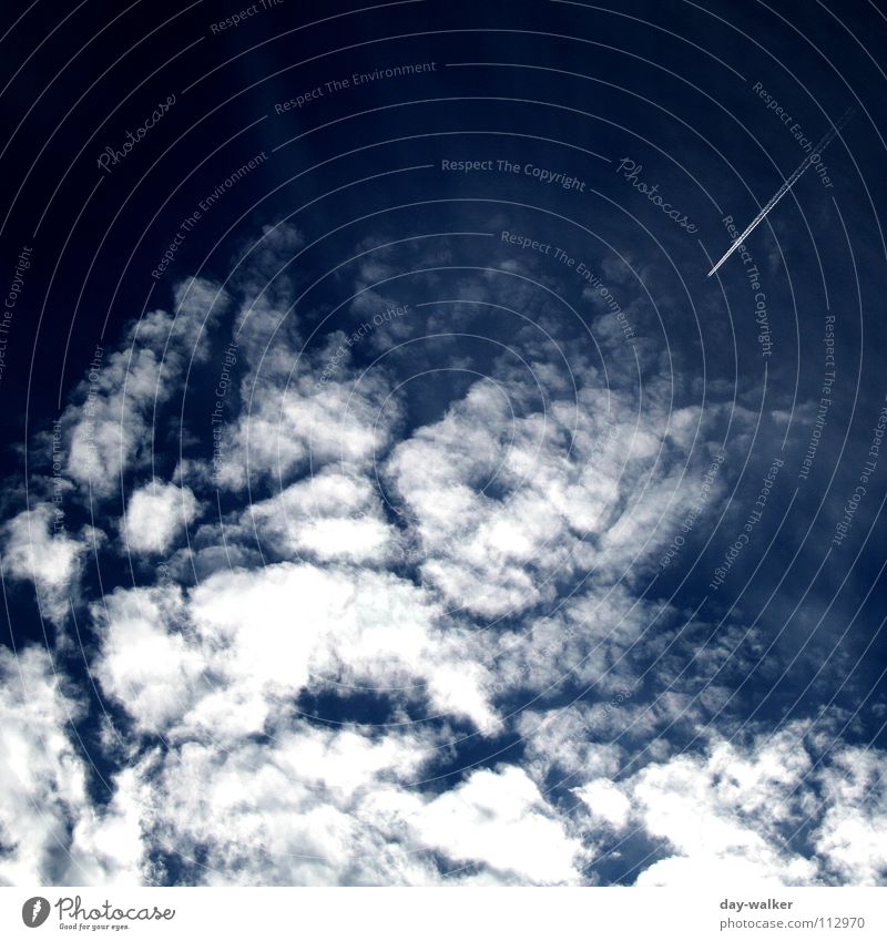 Kamikaze Wolken Belichtung Flugzeug Reaktionen u. Effekte dunkel Himmel blau Kontrast athmosphäre effect Natur Luftverkehr hell Kondensstreifen