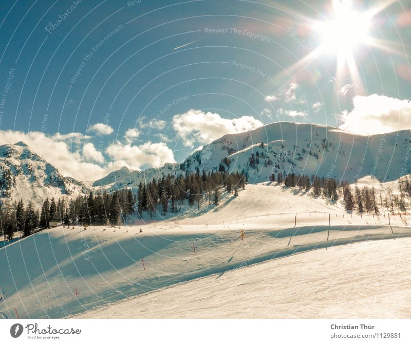 Skifahren harmonisch Wohlgefühl Zufriedenheit Erholung Freizeit & Hobby Ferien & Urlaub & Reisen Tourismus Ausflug Ferne Freiheit Winter Winterurlaub