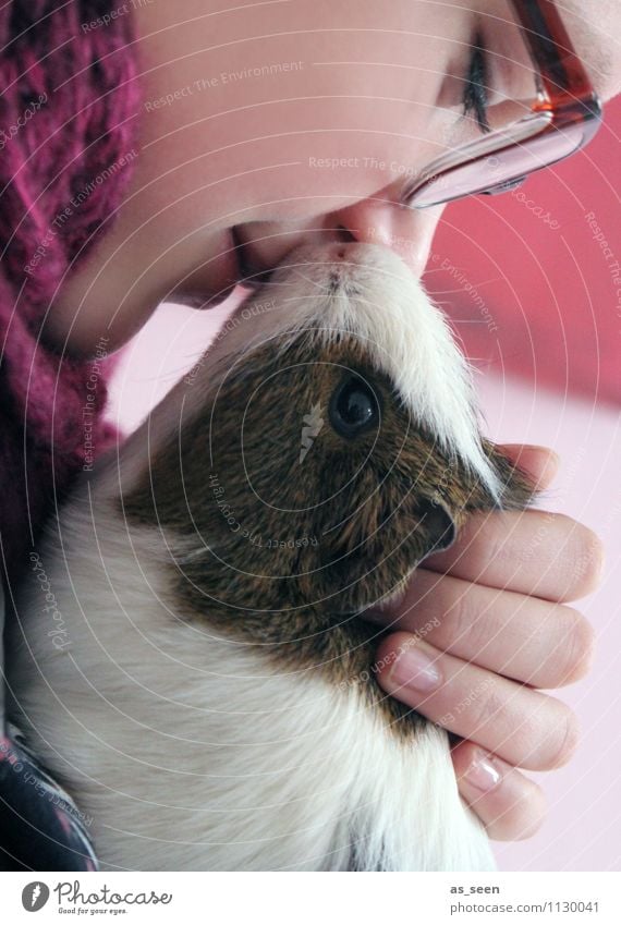 Meerschweinchenliebe Jugendliche Gesicht 1 Mensch 13-18 Jahre Kind Tier Haustier Tiergesicht Fell Streichelzoo Tierporträt Auge Schnauze festhalten Küssen Liebe