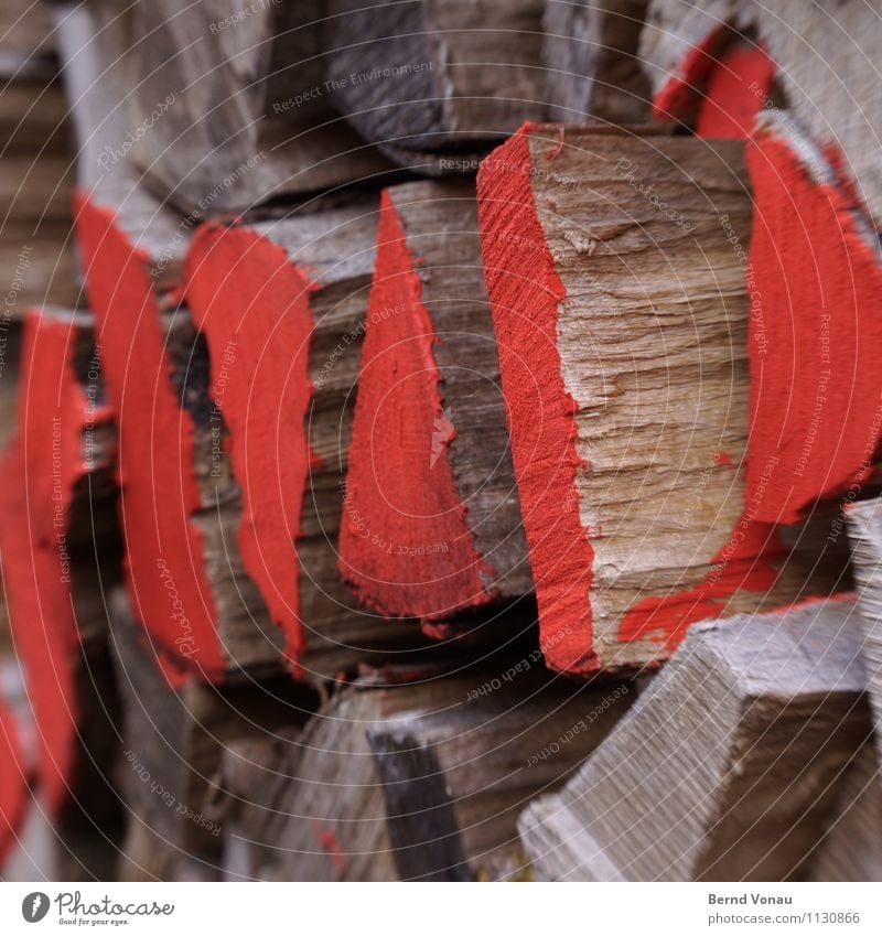 roter bereich Natur Baum braun grau Brennholz Brennstoff Holz Stapel Vorrat kennzeichnen verwittert Heizperiode Feuer Maserung teilen Farbe Lack Farbfoto