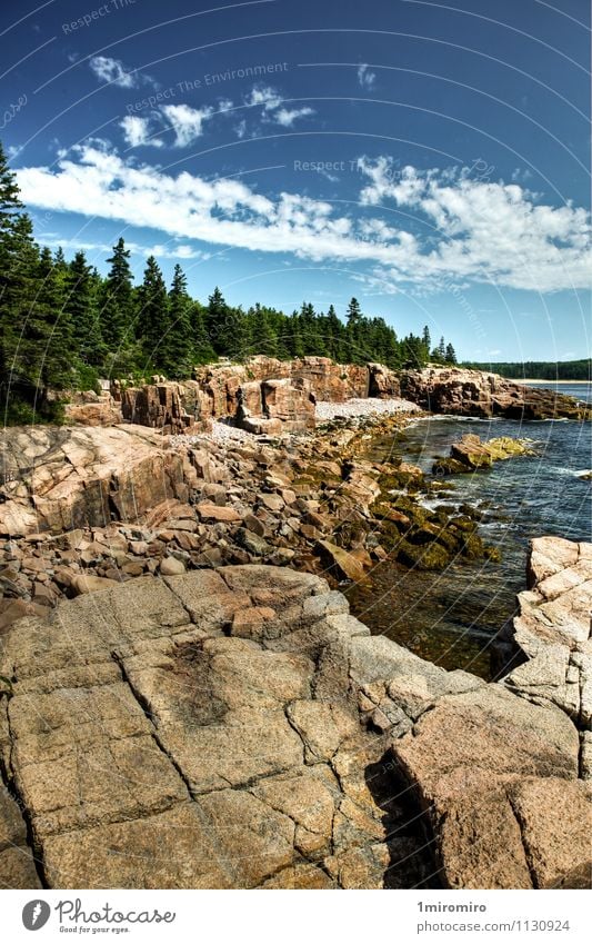 Küstenlinie im Acadia Nationalpark, Maine Sommer Meer Himmel Wolken Wetter Park Felsen positiv blau grün Abenteuer Ferien & Urlaub & Reisen Tourismus USA