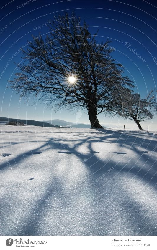 Weihnachtskarte 13 Sonnenstrahlen Winter Schwarzwald weiß Tiefschnee wandern Freizeit & Hobby Ferien & Urlaub & Reisen Hintergrundbild Baum Schneelandschaft
