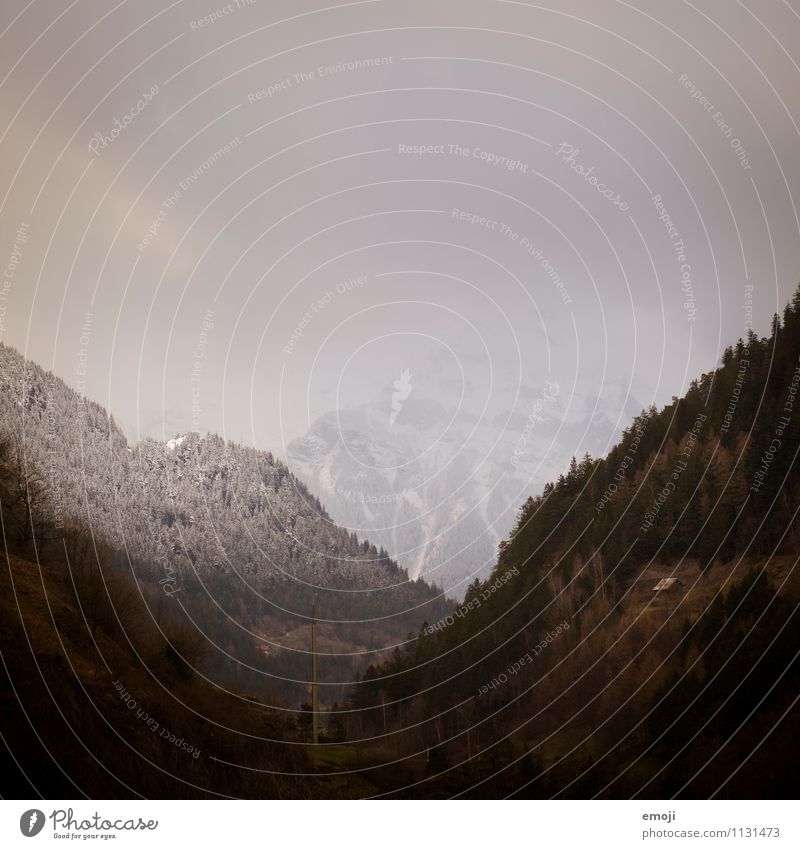 CH Umwelt Natur Landschaft Herbst Nebel Alpen Berge u. Gebirge dunkel natürlich Schweiz Farbfoto Gedeckte Farben Außenaufnahme Menschenleer Abend