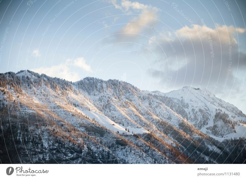 letztes Licht Umwelt Natur Landschaft Winter Schönes Wetter Schnee Alpen Berge u. Gebirge natürlich blau Abenddämmerung Farbfoto Außenaufnahme Menschenleer