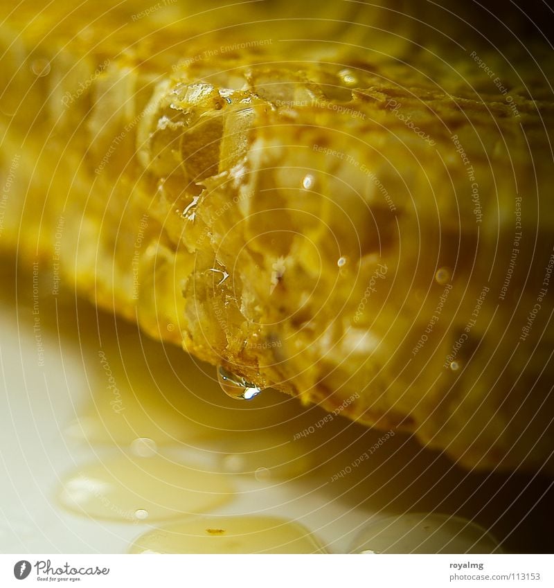 candy shop Honig Biene gelb süß Imker Bienenwaben fleißig Sirup Ernährung Wassertropfen Natur gegen halzschmerzen süß im tee antibakteriell ausgeschleudert
