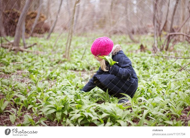 heut gibt's Bärlauchsüppchen iii Mensch feminin Kind Mädchen Kindheit 1 3-8 Jahre Umwelt Natur Pflanze Frühling Wildpflanze Wald entdecken Erholung