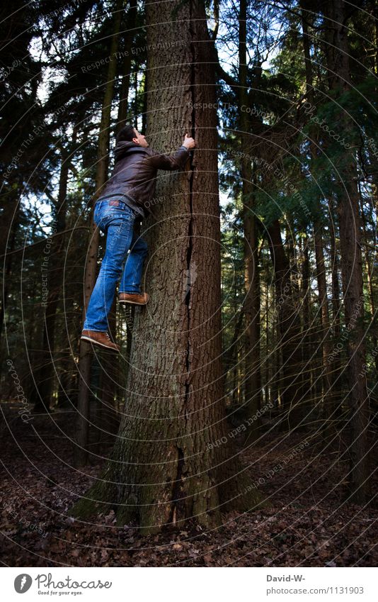 Baumsteiger unterwegs elegant Gesundheit sportlich Fitness Leben wandern Sport Klettern Bergsteigen Mensch maskulin Natur Wald festhalten träumen fantastisch