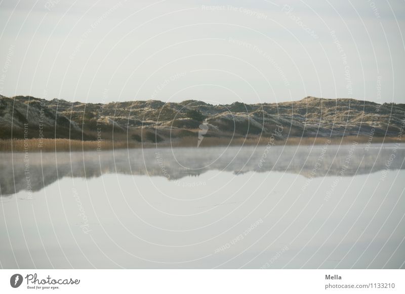 Morgensee Umwelt Natur Landschaft Urelemente Wasser Himmel Seeufer Teich Düne kalt natürlich Stimmung Einsamkeit Erholung Idylle ruhig ruhend Dunst Nebeldecke