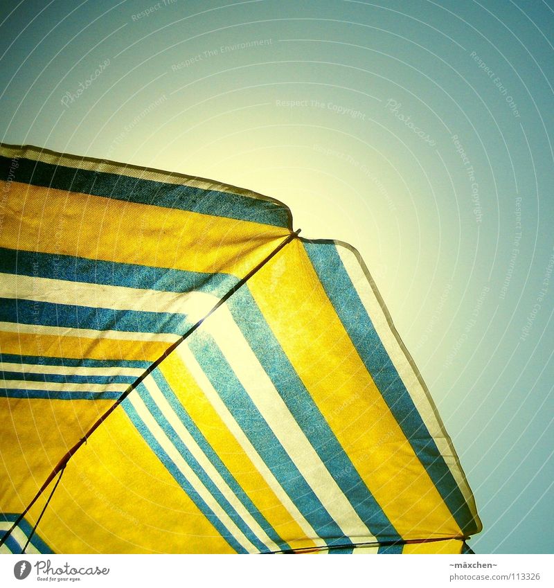just chill Sonnenschirm gelb weiß Himmel Strand Sommer Schnellzug Physik Sonnenbad genießen Ferien & Urlaub & Reisen Erholung Froschperspektive sunshade blau