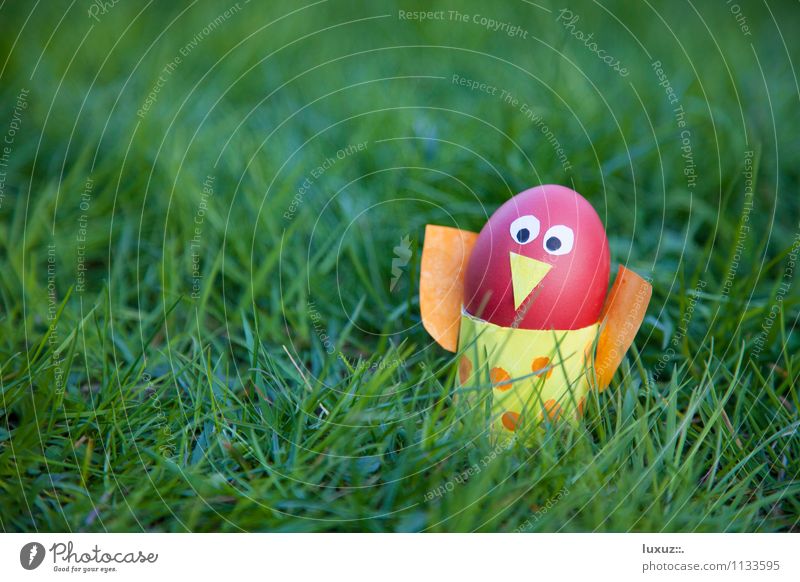 Oster Vogel Frühling Freude Idee Dekoration & Verzierung Ei Rasen Hintergrund neutral