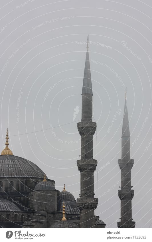 Blaue Moschee in grau I schlechtes Wetter Nebel Regen Istanbul Gotteshäuser Minarett Spitze Religion & Glaube Islam trüb Farbfoto Gedeckte Farben Außenaufnahme