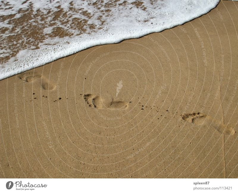 Fußspuren am Meer Strand Spielen Sommer Wasser Sand Spuren Barfuß